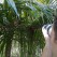 Adam behind-the-scenes shooting tarsiers