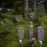 Small headstones and moss garden