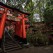 Fushimi-Inari Taisha shrine
