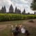 Gazing at Prambanan