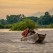 Family Headed Home on the Mekong