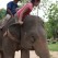 Amanda Climbing the Elephant