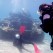 Tank Dive in Red Sea