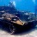 Tank Dive in Red Sea