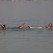 Amanda and Caitie Floating At the Dead Sea